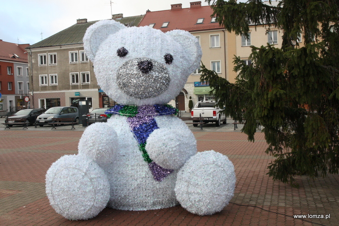 Miś wciąż czeka na imię