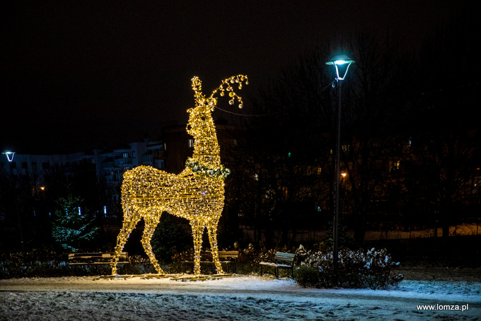 iluminacje świąteczne w Parku Jana Pawła II - Papieża Pielgrzyma