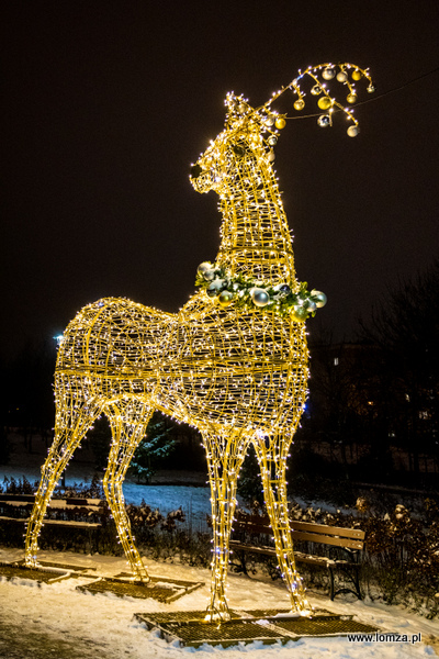 iluminacje świąteczne w Parku Jana Pawła II - Papieża Pielgrzyma