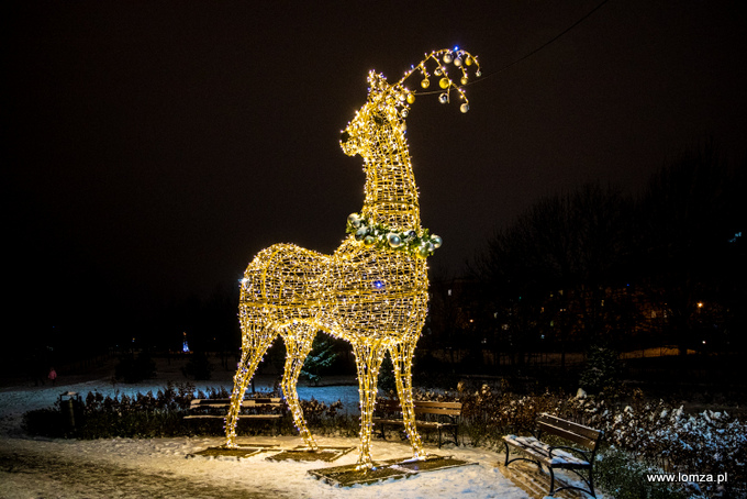 iluminacje świąteczne w Parku Jana Pawła II - Papieża Pielgrzyma