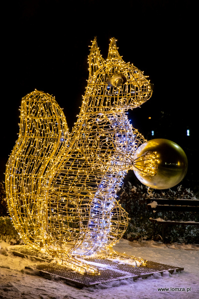 iluminacje świąteczne w Parku Jana Pawła II - Papieża Pielgrzyma