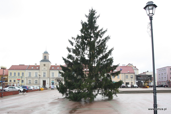 Świąteczna choinka już na Starym Rynku