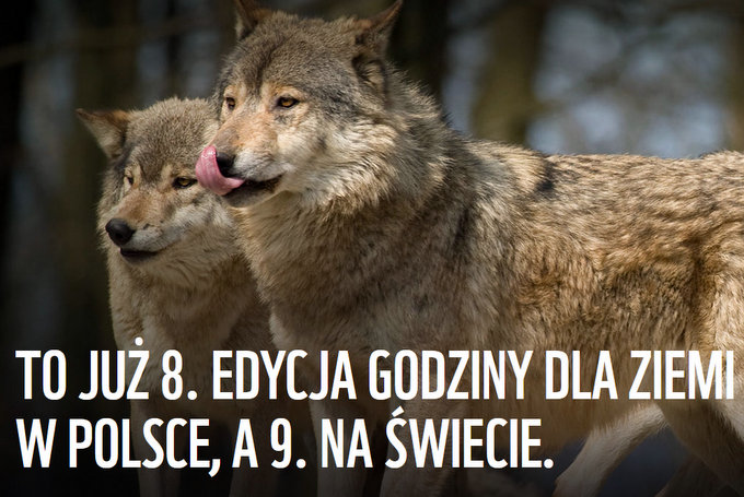 Na godzinę zgasną światła dla Ziemi