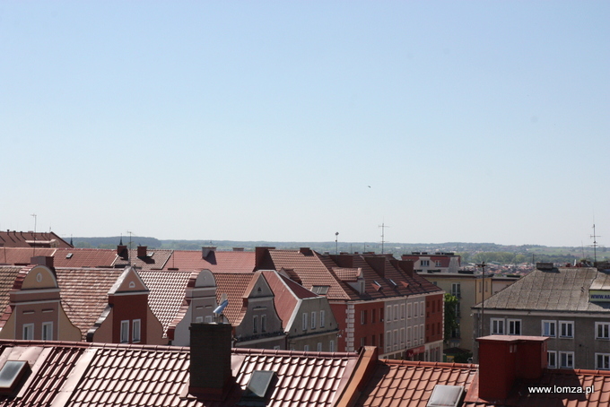 Ruszył program 
