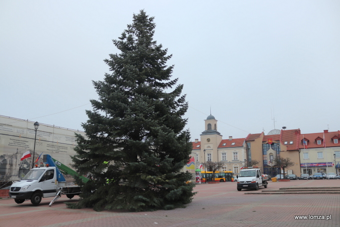 Świąteczna choinka zdobi Stary Rynek