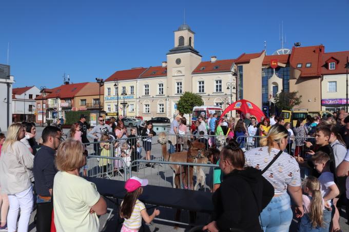 Sport, profilaktyka zdrowotna, integracja