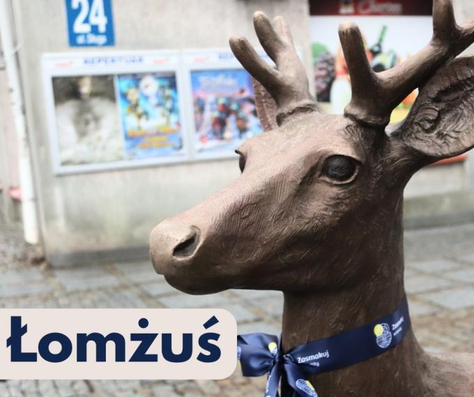 Łomżuś – tak będzie nazywał się jelonek