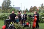 Koncert gordonowski w Parku JP II