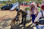Husaria na pikniku militarnym w Łomży