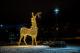 iluminacje świąteczne w Parku Jana Pawła II - Papieża Pielgrzyma