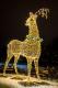 iluminacje świąteczne w Parku Jana Pawła II - Papieża Pielgrzyma