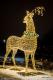 iluminacje świąteczne w Parku Jana Pawła II - Papieża Pielgrzyma
