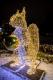 iluminacje świąteczne w Parku Jana Pawła II - Papieża Pielgrzyma