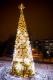 iluminacje świąteczne w Parku Jana Pawła II - Papieża Pielgrzyma